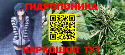 амф Краснодар